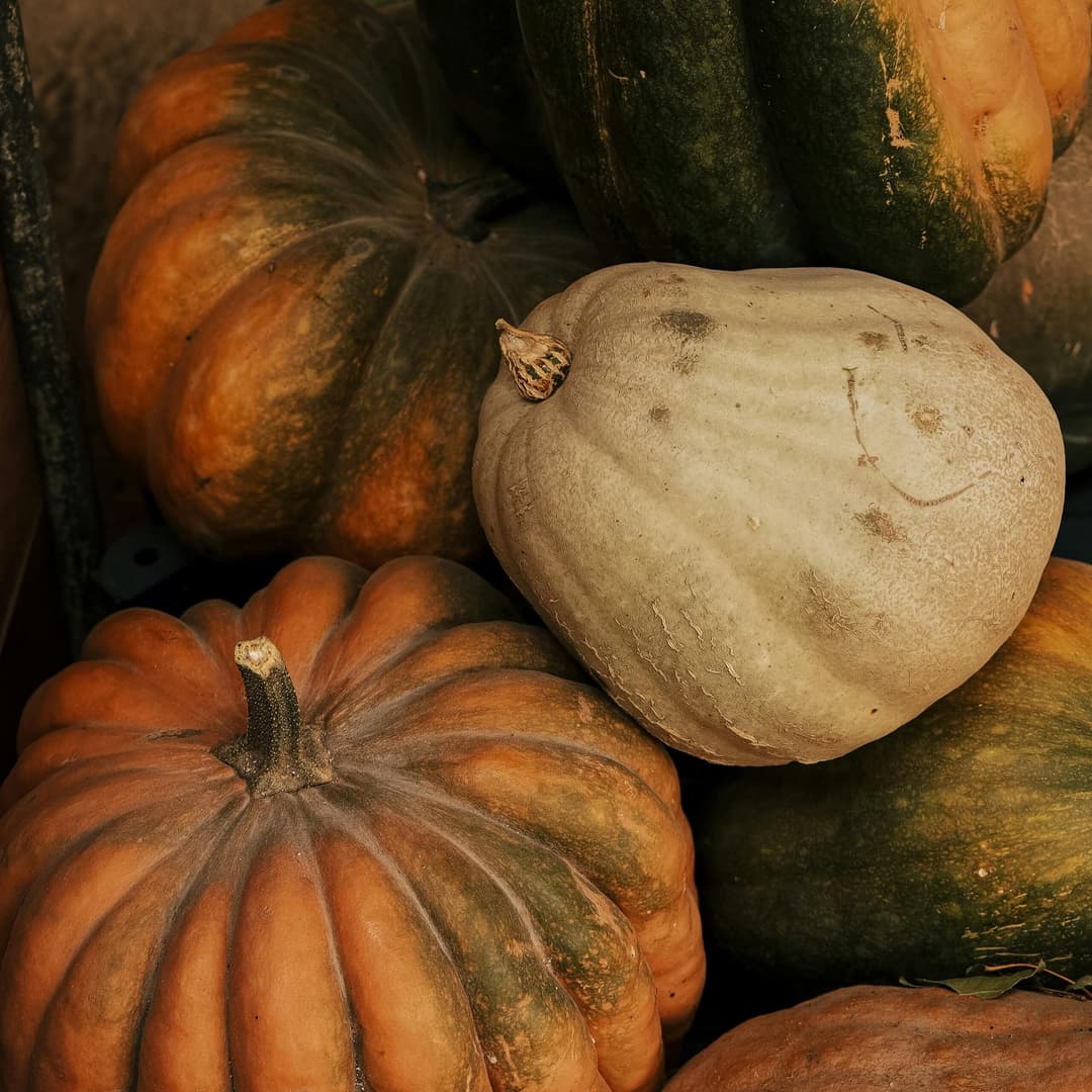 Potimarron et citrouille